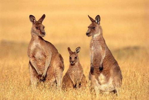 赚钱秒到微信_赚钱秒到微信是真的吗